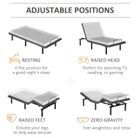 HOMCOM Twin XL Adjustable Bed Frame, Ergonomic Zero Gravity Power Bed Base with Head and Foot Incline, Memory, and Wireless Remote, Gray(m-7)