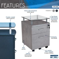 Compact File Cabinet with Hanging Drawers and Locking Design, Locking Storage Unit for Offices and Study Rooms, 15.5" L x 17.5" W x 24" H, Gray(m-4)