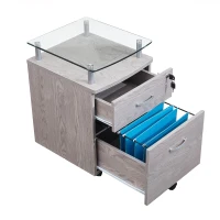 Compact File Cabinet with Hanging Drawers and Locking Design, Locking Storage Unit for Offices and Study Rooms, 15.5" L x 17.5" W x 24" H, Gray(m-6)