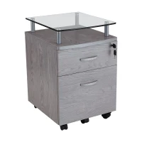 Compact File Cabinet with Hanging Drawers and Locking Design, Locking Storage Unit for Offices and Study Rooms, 15.5" L x 17.5" W x 24" H, Gray(m-8)