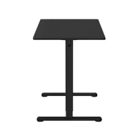 Sleek Electric Standing Desk with Memory Presets and Hooks, Height Adjustable Sit to Stand Computer Desk for Home Office, 47.5'' L x 23.5'' W x 28'' H, Black(m-14)