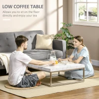 HOMCOM Square Coffee Table with Faux Marble Tabletop, Low Table for Sitting on The Floor, Stainless Steel Frame for Living Room, White(m-17)