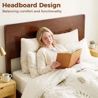 HOMCOM Queen Size Bamboo Platform Bed Frame with Headboard and 12 Poplar Slats, No Box Spring Needed, Easy Assembly, Brown(m-6)