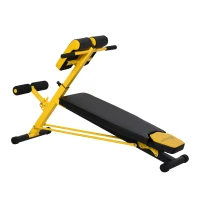 Soozier Adjustable Hyper Extension Dumbbell Weight Bench, Foam Leg Holders, Exercise Abs, Arms, Core, Strength Workout Station for Home Gym, Yellow(m-10)