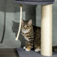 PawHut Floor To Ceiling Cat Tree, 5-Tier Cat Climbing Tower, 95''-106'' Height Adjustable with Carpeted Platforms, Cozy Bed(m-9)