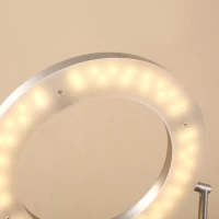 HOMCOM Modern LED 2 Light Floor Lamp, Tall Standing Lamp with Rotatable Ring Light and Height Adjustable Side Light for Living Room or Bedroom, Silver(m-11)