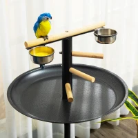 PawHut Portable Bird Play Stand, Parrot Perch Bird Feeder Station with Wheels, Stainless Steel Feeding Bowls, Tray, Gray(m-7)