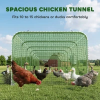 PawHut Extra Long Chicken Run, 354" x 39" Galvanized Steel Chicken Tunnel with Nylon Netting for 10-15 Chickens or Ducks(m-4)