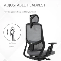 Vinsetto High Back Ergonomic Mesh Office Chair with Adjustable Height, Armrests, Lumbar Support and Headrest, Grey/Black(m-9)