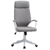 Vinsetto Ergonomic Home Office Chair High Back Computer Desk Chair with Lumbar Back Support, Padded Armrests, Adjustable Height, Grey(m-1)