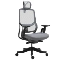 Vinsetto High Back Ergonomic Mesh Office Chair with Adjustable Height, Armrests, Lumbar Support and Headrest, Grey/Black(m-16)