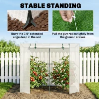 Outsunny Walk-in Portable Greenhouse Small Greenhouse for Outdoors with UV-resistant PE Cover, 6.6' x 2.5' x 5.6' White(m-7)
