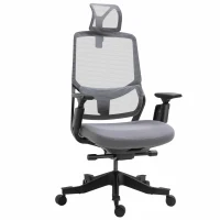 Vinsetto High Back Ergonomic Mesh Office Chair with Adjustable Height, Armrests, Lumbar Support and Headrest, Grey/Black(m-1)
