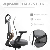 Vinsetto High Back Ergonomic Mesh Office Chair with Adjustable Height, Armrests, Lumbar Support and Headrest, Grey/Black(m-8)