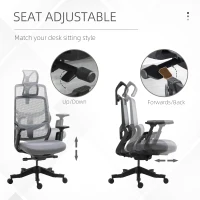 Vinsetto High Back Ergonomic Mesh Office Chair with Adjustable Height, Armrests, Lumbar Support and Headrest, Grey/Black(m-6)