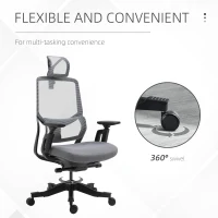 Vinsetto High Back Ergonomic Mesh Office Chair with Adjustable Height, Armrests, Lumbar Support and Headrest, Grey/Black(m-13)