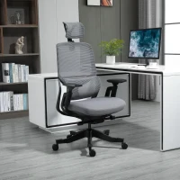Vinsetto High Back Ergonomic Mesh Office Chair with Adjustable Height, Armrests, Lumbar Support and Headrest, Grey/Black(m-2)