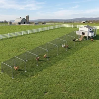 PawHut Extra Long Chicken Run, 354" x 39" Galvanized Steel Chicken Tunnel with Nylon Netting for 10-15 Chickens or Ducks(m-10)