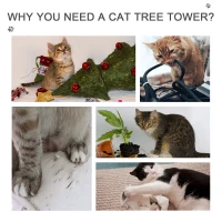 PawHut 102" Adjustable Height Floor to Ceiling Cat Tree, 5 Level Cat Tower with Scratching Posts, Hammock, Gray(m-7)