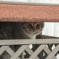PawHut Wooden Cat House, 2-Floor Feral Cat Shelter, Kitten Condo Outdoor, Small Dog House with Balcony, Stairs, Asphalt Roof, Light Gray(m-18)