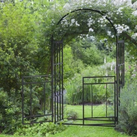 Outsunny 81" Steel Garden Arch with Gate Outdoor Courtyard Arbor for Climbing Vine Plants Lawn Backyard Decoration Dark Grey(m-1)