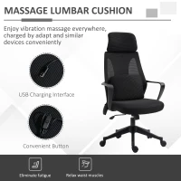 Vinsetto Ergonomic Home Office Mesh Desk Chairs, Computer Task Chair with Massage Lumbar Cushion, Adjustable Seat & Headrest, Rocking Function, Black(m-7)