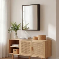 kleankin Wall Mounted Bathroom Medicine Cabinet with Hinged Door Storage Shelves for Living Room and Laundry Room Black(m-9)