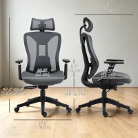 Vinsetto Ergonomic Office Chair with Adjustable Headrest, Lumbar Support, 3D Armrest, Mesh Computer Desk Chair with High Back, Swivel Reclining Seat with Tilt Function, Grey(m-3)
