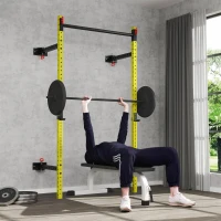 Soozier Folding Squat Rack with Pull Up Bar, Wall Mounted and Adjustable, 1000 Pounds Capacity Power Rack, Yellow(m-10)