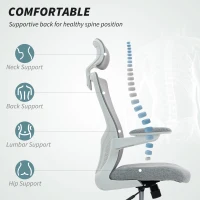 HOMCOM Ergonomic Office Chair, Swivel Desk Chair with Adjustable Lumbar Support, Headrest and Height, Flip-up Armrests, Grey(m-4)