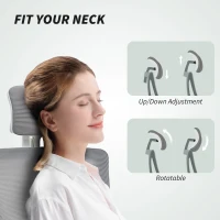 HOMCOM Ergonomic Office Chair, Swivel Desk Chair with Adjustable Lumbar Support, Headrest and Height, Flip-up Armrests, Grey(m-6)