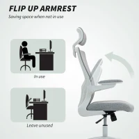 HOMCOM Ergonomic Office Chair, Swivel Desk Chair with Adjustable Lumbar Support, Headrest and Height, Flip-up Armrests, Grey(m-7)