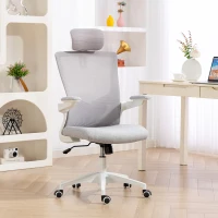 HOMCOM Ergonomic Office Chair, Swivel Desk Chair with Adjustable Lumbar Support, Headrest and Height, Flip-up Armrests, Grey(m-8)
