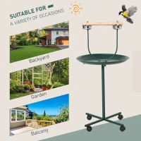 PawHut 48" Rolling T-Stand, Parrot Stand, Bird Training Activity Playground With Wheels and Perch,, Bird Play Perch, Green(m-4)