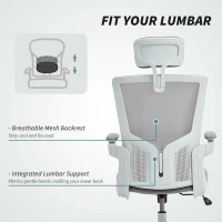HOMCOM Ergonomic Office Chair, Swivel Desk Chair with Adjustable Lumbar Support, Headrest and Height, Flip-up Armrests, Grey(m-5)