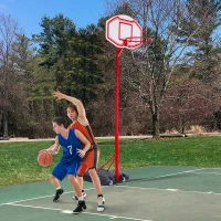 Soozier 6.9-8.5FT Basketball Hoop, Outdoor Adjustable Basketball Goal with Shatterproof Backboard, Built-in Wheels, for Youth, Adults, Indoor, Outdoor(m-1)