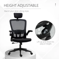 Vinsetto High Back Mesh Chair, Home Office Task Computer Chair with Adjustable Height, Lumbar Back Support, Headrest, and Arms, Black(m-19)