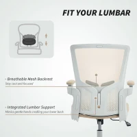 HOMCOM Ergonomic Office Chair, Swivel Desk Chair with Adjustable Lumbar Support and Height, Flip-up Armrests, Wheels, Beige(m-5)