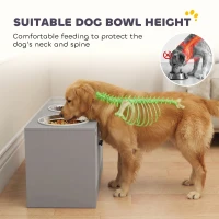 PawHut Elevated Dog Bowls with Storage Cabinet,  2 Stainless Steel Bowls, Slow Feeder, Dog Feeding Station for Large Dogs, Gray(m-4)