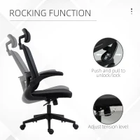 Vinsetto High Back Mesh Chair, Home Office Task Computer Chair with Adjustable Height, Lumbar Back Support, Headrest, and Arms, Black(m-20)