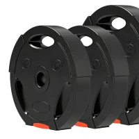 Soozier 1-Inch Weight Plates, Barbell Weights Set for Weightlifting and Strength Training, 2 x 11lbs + 2 x 5.5lbs(m-11)
