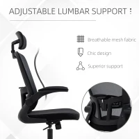 Vinsetto High Back Mesh Chair, Home Office Task Computer Chair with Adjustable Height, Lumbar Back Support, Headrest, and Arms, Black(m-22)