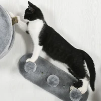 PawHut 4 PCs 9.3" H Cat Wall Shelves, Pet Wall-mounted Climbing Shelf Set, Kitten Activity Centre with Condo, Cushion, Scratching Post, Jumping Platform, Grey(m-10)