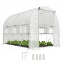 Outsunny 9.7' x 6.5' x 6.5' Walk-in Tunnel Greenhouse, Outdoor Green House with Anti-Tear PE Cover, Zipper Doors and Mesh Windows, White(m-1)