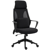 Vinsetto Office Chair High Back, Ergonomic Mesh Computer Chair Executive Task Chair with Massage Lumbar Support & Headrest Rocking(m-2)