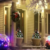 HOMCOM 2.5 Ft/30" 2 Pack Outdoor Entryway Pre-Lit Artificial Christmas Tree Cordless with 70 Branches, Green(m-10)