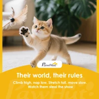 PawHut 53" Plush Sturdy Interactive Cat Condo Tower Scratching Post Activity Tree House - Beige(m-9)