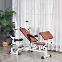 Soozier Multi-Exercise Full-Body Weight Rack with Bench Press, Leg Extension, Chest Fly Resistance Band & Preacher Curl(m-2)