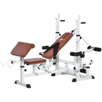 Soozier Multi-Exercise Full-Body Weight Rack with Bench Press, Leg Extension, Chest Fly Resistance Band & Preacher Curl(m-1)