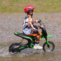 Aosom 24V 350W Electric Dirt Bike Up to 15 MPH w/ Twist Grip Throttle, Green(m-10)